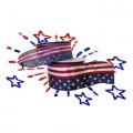 Double Wired Flag Ribbon (12 Pc)