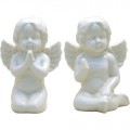 White Cherubs (24 Pc)